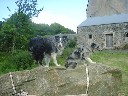 The end of the Road (Pembs) -Image