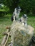 The end of the Road (Pembs) -Image
